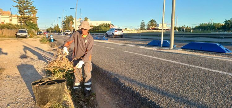 Benicarló contracta un peó agropecuari a través del Pla d’Ocupació de la Diputació