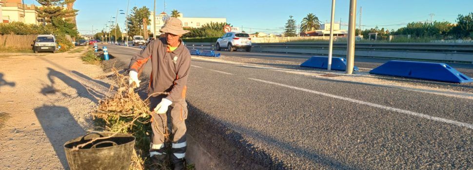 Benicarló contracta un peó agropecuari a través del Pla d’Ocupació de la Diputació