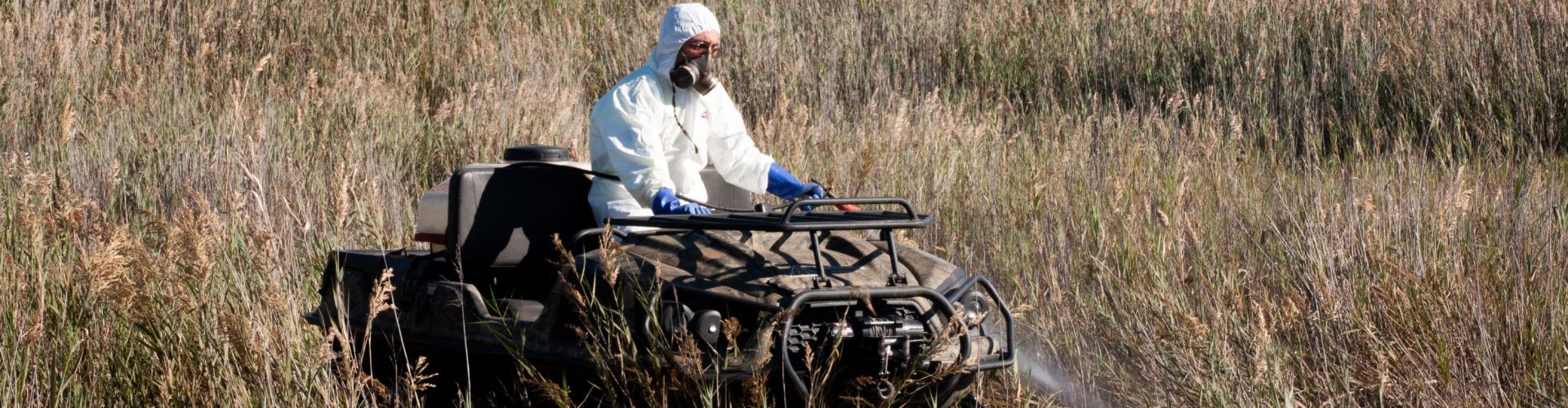 La Diputació realitza vols de tractaments contra els mosquits amb la finalitat de garantir el control de plagues en les zones més humides de Castelló