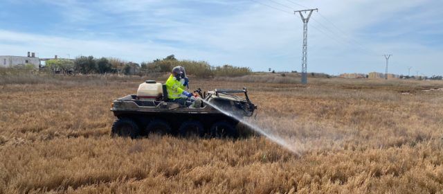 La Diputació de Castelló sol·licita al Consell l’autorització per a realitzar vols de tractament contra els mosquits després de les fortes pluges registrades