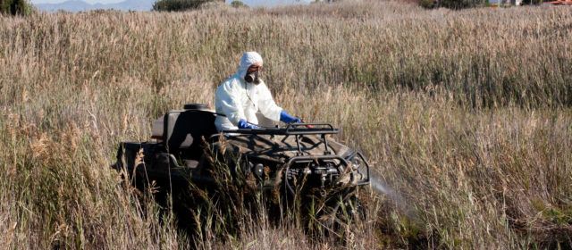La Diputació realitza vols de tractaments contra els mosquits amb la finalitat de garantir el control de plagues en les zones més humides de Castelló