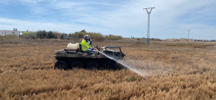 La Diputació de Castelló sol·licita al Consell l’autorització per a realitzar vols de tractament contra els mosquits després de les fortes pluges registrades