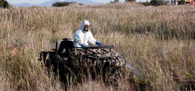 La Diputació realitza vols de tractaments contra els mosquits amb la finalitat de garantir el control de plagues en les zones més humides de Castelló