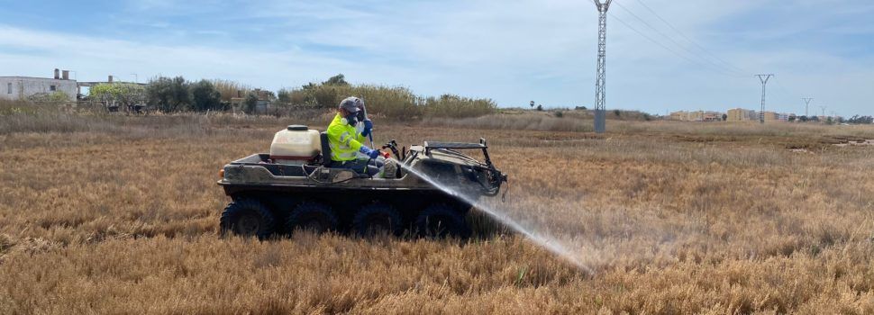 La Diputació de Castelló sol·licita al Consell l’autorització per a realitzar vols de tractament contra els mosquits després de les fortes pluges registrades