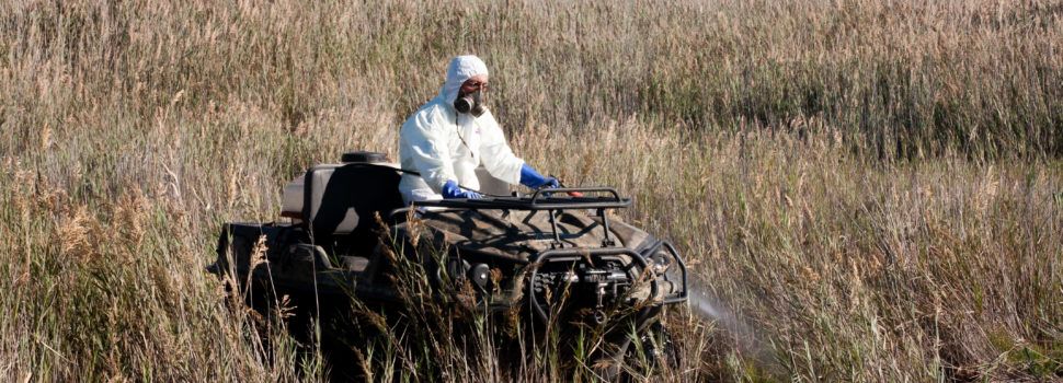 La Diputació realitza vols de tractaments contra els mosquits amb la finalitat de garantir el control de plagues en les zones més humides de Castelló