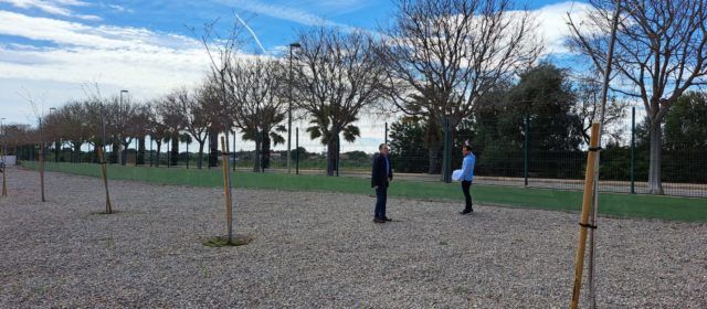 L’Ajuntament adjudica les obres de construcció de nous berenadors del carrer Llevant d’Alcossebre