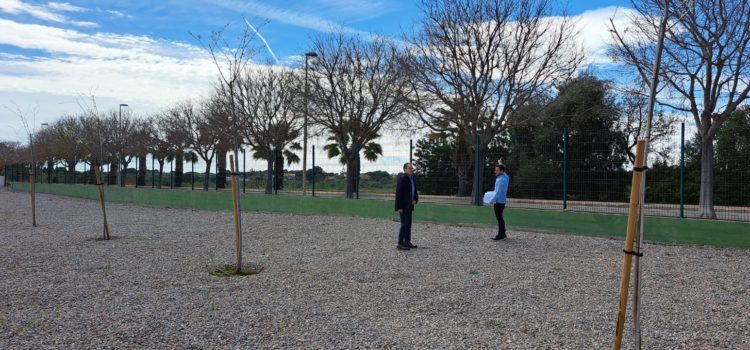 L’Ajuntament adjudica les obres de construcció de nous berenadors del carrer Llevant d’Alcossebre