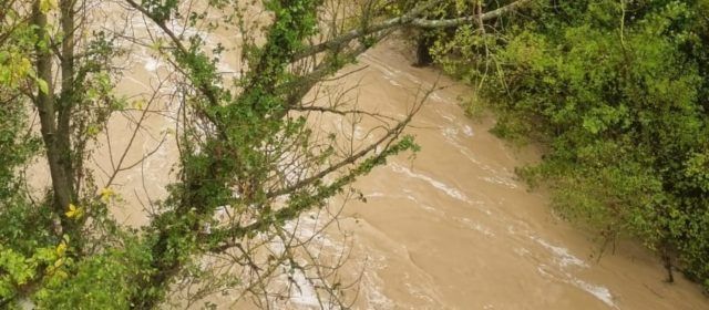 Vídeos i fotos: la fúria del Cervol per Vallibona