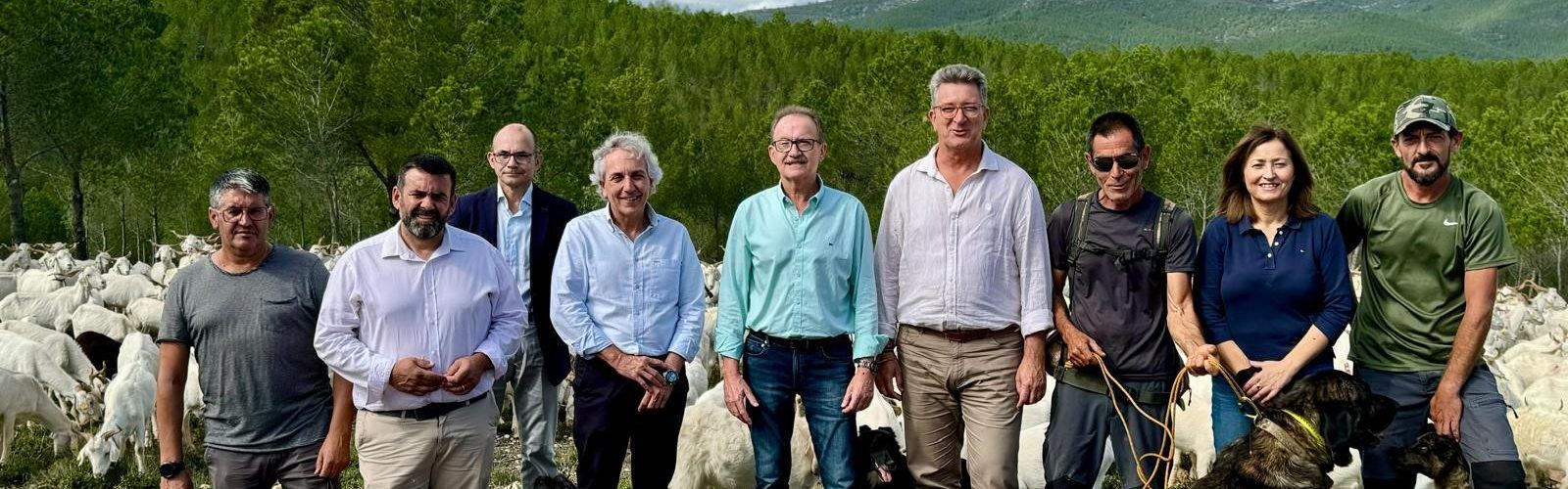 Vicente Martínez Mus resalta en Alcalà de Xivert los beneficios de la actividad ganadera extensiva en la prevención de incendios forestales