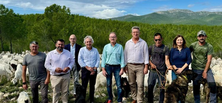 Vicente Martínez Mus resalta en Alcalà de Xivert los beneficios de la actividad ganadera extensiva en la prevención de incendios forestales