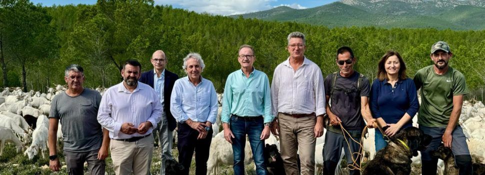 Vicente Martínez Mus resalta en Alcalà de Xivert los beneficios de la actividad ganadera extensiva en la prevención de incendios forestales