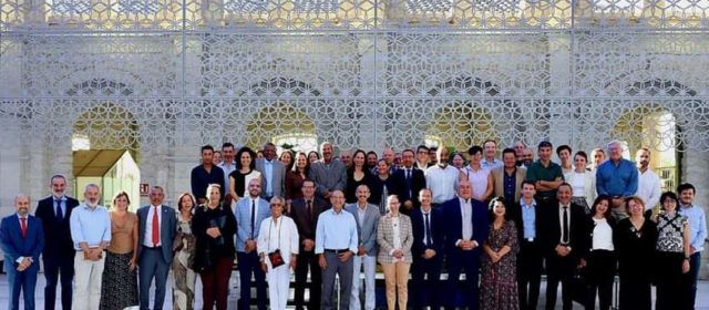Oliveres mil·lenàries Territori Sénia, en el taller de SIPAM mediterranis a Alacant