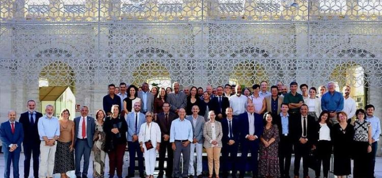 Oliveres mil·lenàries Territori Sénia, en el taller de SIPAM mediterranis a Alacant