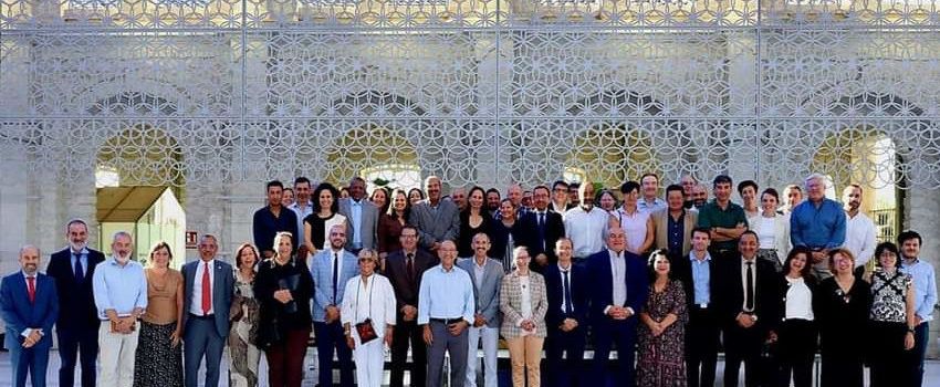Oliveres mil·lenàries Territori Sénia, en el taller de SIPAM mediterranis a Alacant