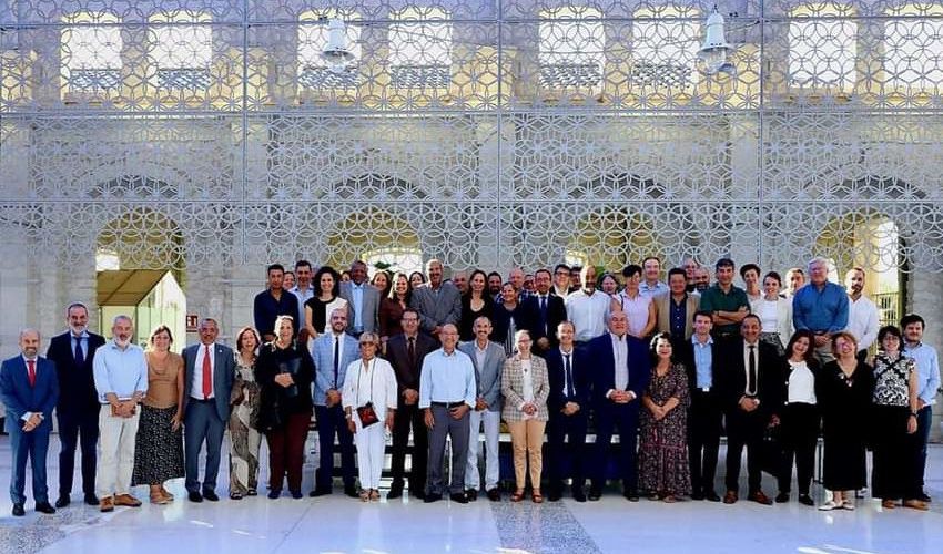 Oliveres mil·lenàries Territori Sénia, en el taller de SIPAM mediterranis a Alacant