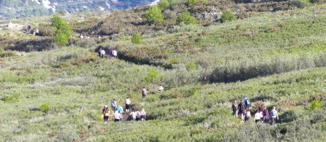 Imatges del Trencamoles 2024 a Xert