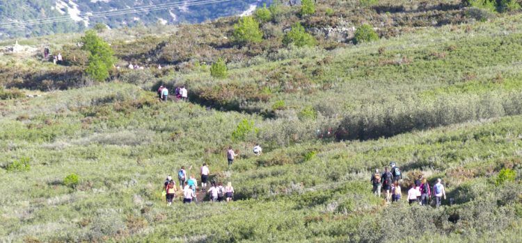 Imatges del Trencamoles 2024 a Xert
