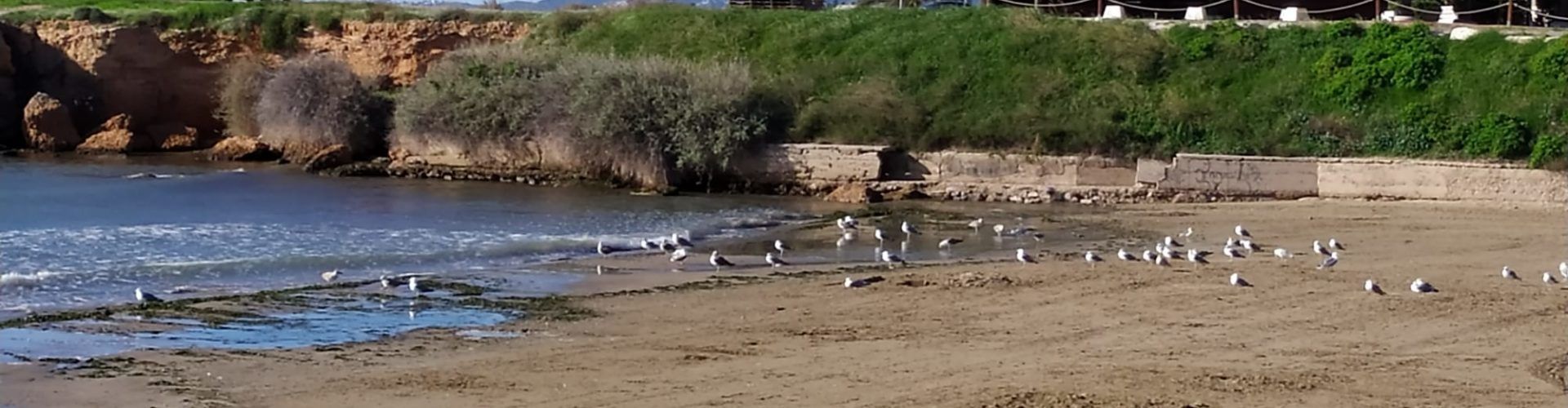 El “parte” del temps: demà lleugera pujada dels termòmetres, més evident diumenge