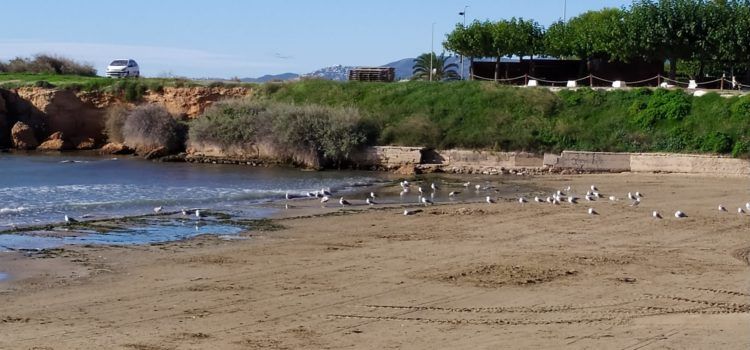 El “parte” del temps: demà lleugera pujada dels termòmetres, més evident diumenge