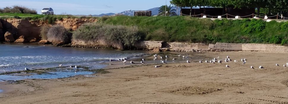 El “parte” del temps: demà lleugera pujada dels termòmetres, més evident diumenge