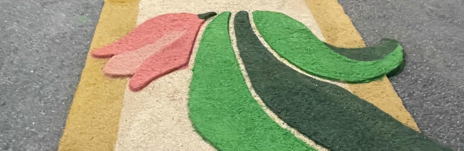 Quinquennals d’Alcanar: vídeos i fotos dels carrers i processó del vuitè sector, Sant Josep