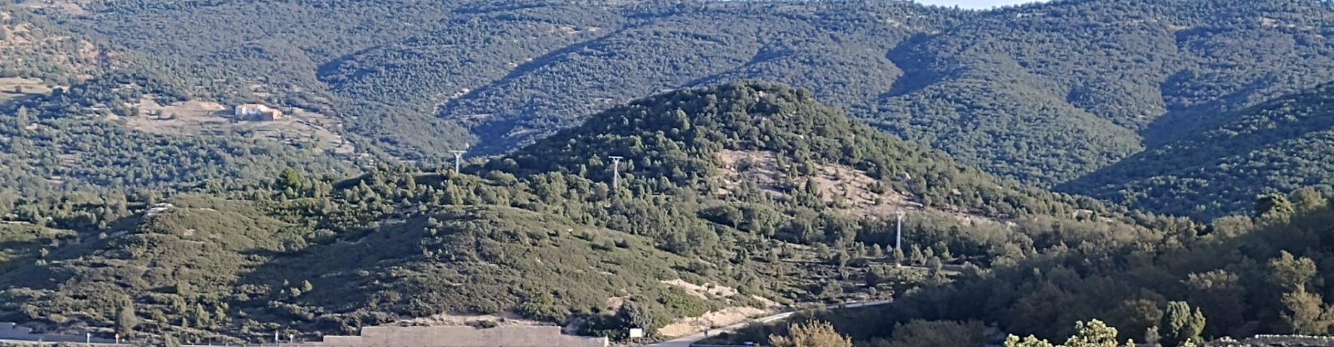 El PSPV de Morella celebra l’inici de les obres de l’últim tram de l’N-232 com “un projecte clau per a la comarca”