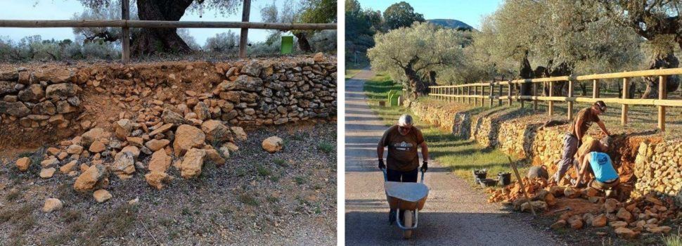 Biela y Tierra visita el Proyecto Piedra Seca del Territorio Sénia para hacer un reportaje de 10 proyectos de Reto Demográfico de toda España