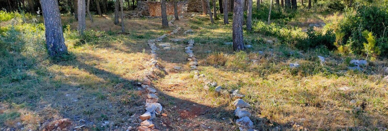 Tírig crea una brigada forestal amb 6 treballadors