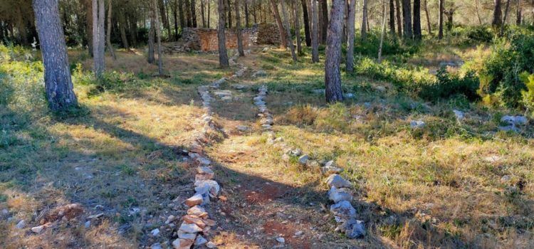 Tírig crea una brigada forestal amb 6 treballadors