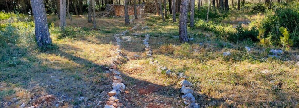 Tírig crea una brigada forestal amb 6 treballadors