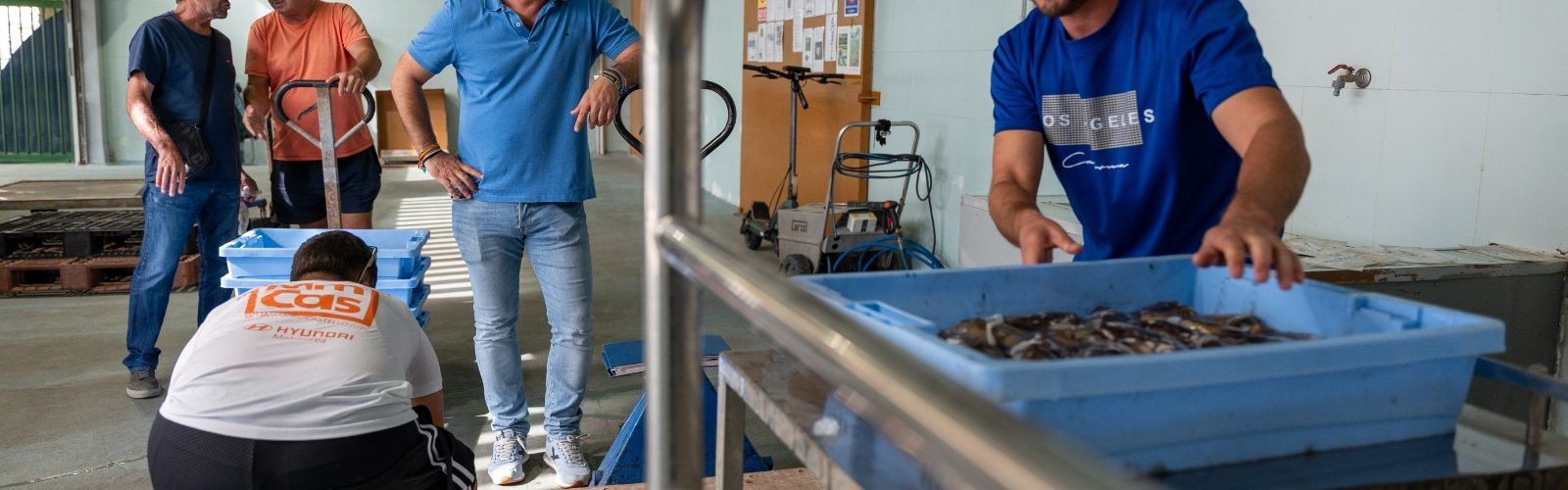 La Diputació defén el sector pesquer i fomenta el consum de peix de Castelló amb una ajuda de 30.000 euros a les confraries de la província