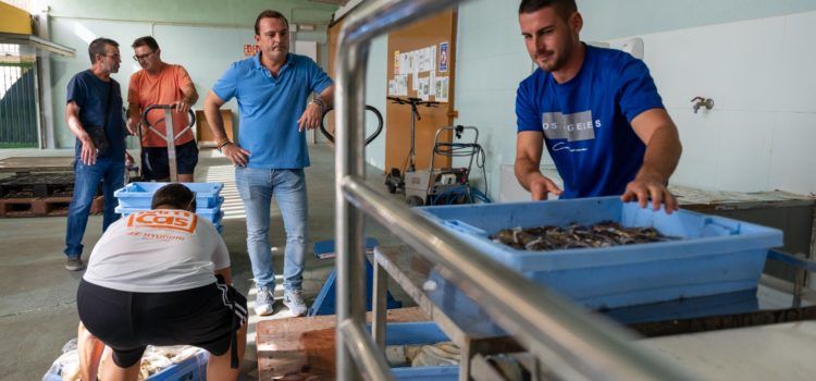 La Diputació defén el sector pesquer i fomenta el consum de peix de Castelló amb una ajuda de 30.000 euros a les confraries de la província