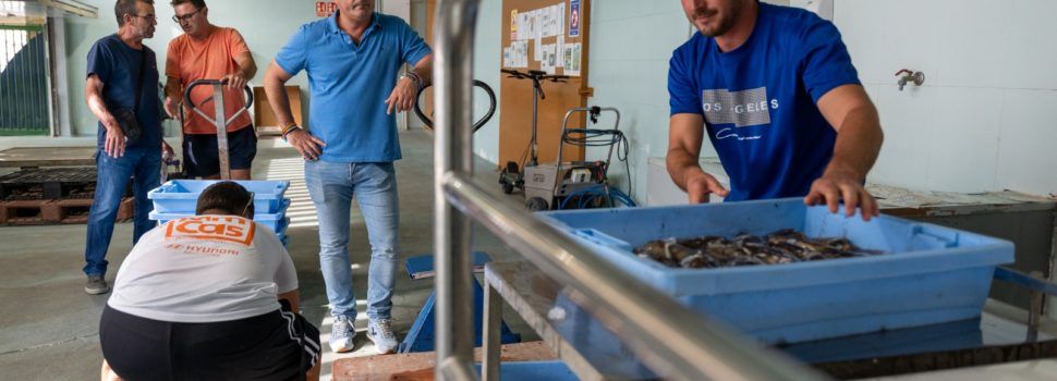 La Diputació defén el sector pesquer i fomenta el consum de peix de Castelló amb una ajuda de 30.000 euros a les confraries de la província