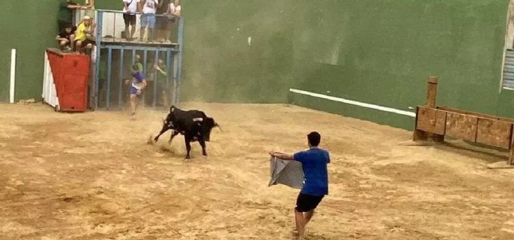 Los “bous al carrer” generan polémica en La Mata