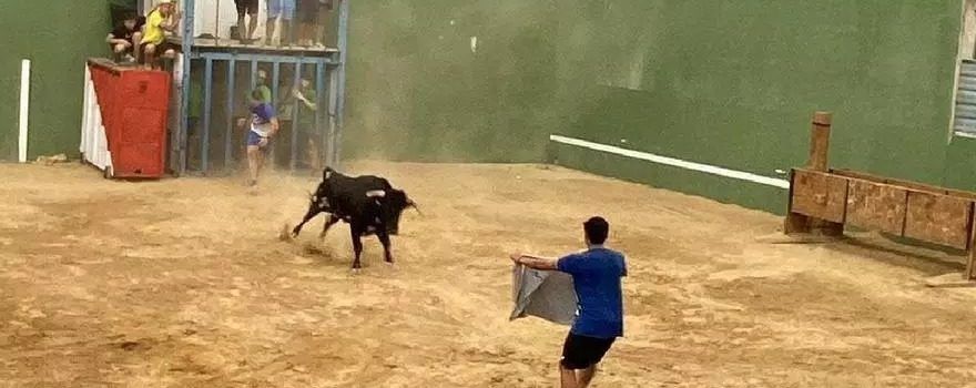 Los “bous al carrer” generan polémica en La Mata