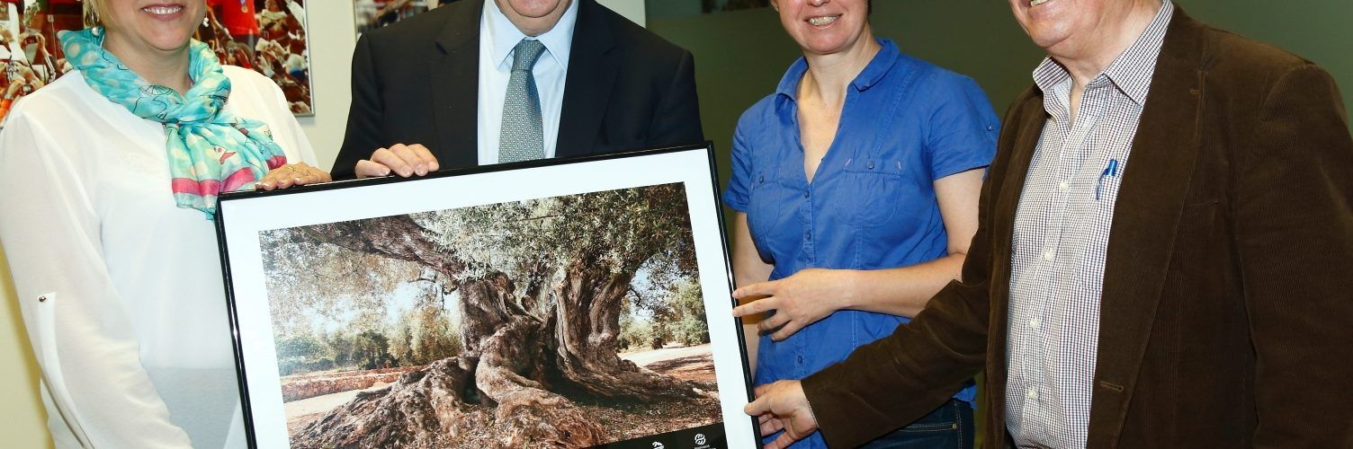 Aquest divendres, 12è Congrés Oliveres Mil·lenàries al Museu de l’Arión (Ulldecona)