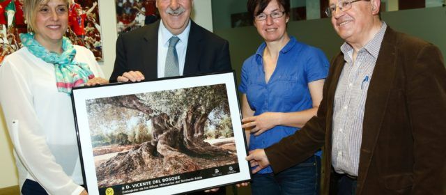 Aquest divendres, 12è Congrés Oliveres Mil·lenàries al Museu de l’Arión (Ulldecona)