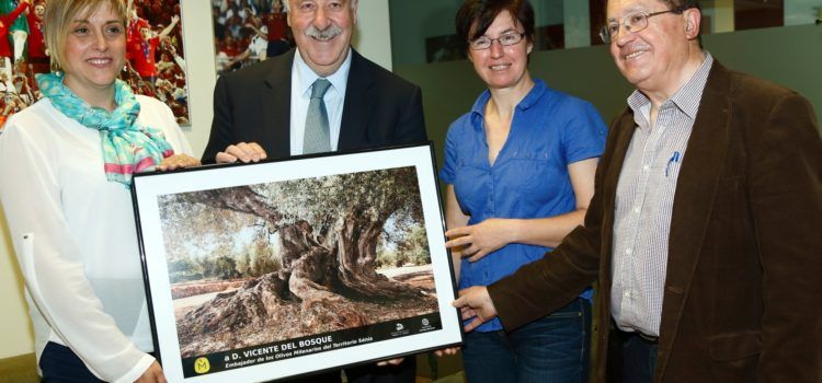 Aquest divendres, 12è Congrés Oliveres Mil·lenàries al Museu de l’Arión (Ulldecona)