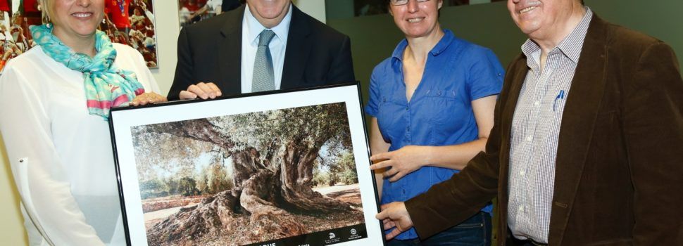 Aquest divendres, 12è Congrés Oliveres Mil·lenàries al Museu de l’Arión (Ulldecona)