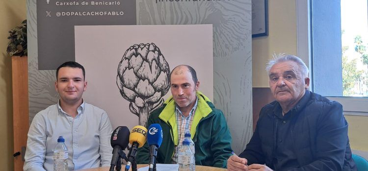 Proyecto de mejora vegetal para la alcachofa DO de Benicarló
