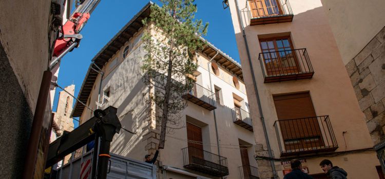 Morella planta l’arbre de Nadal a l’espera d’encendre les llums el 5 de desembre