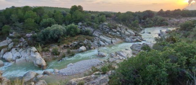 Vinaròs Mail, 7-11-24
