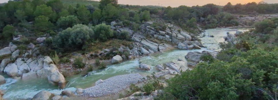 Vinaròs Mail, 7-11-24