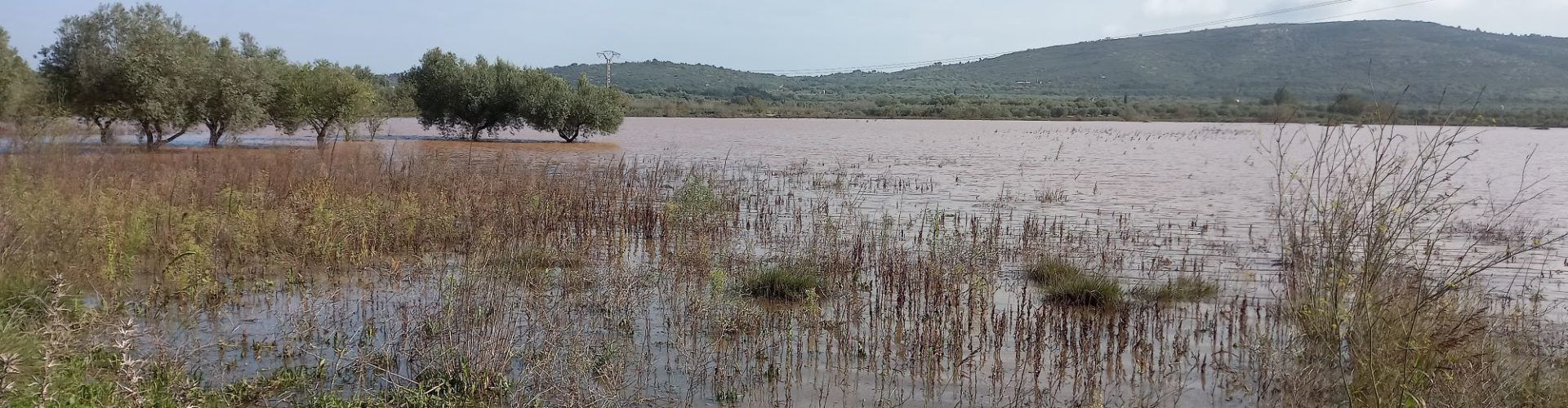 Vídeos i fotos de la Llacuna i l’Engolidor de La Jana