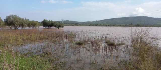 Vídeos i fotos de la Llacuna i l’Engolidor de La Jana