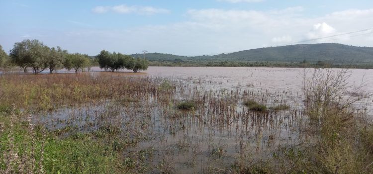 Vídeos i fotos de la Llacuna i l’Engolidor de La Jana