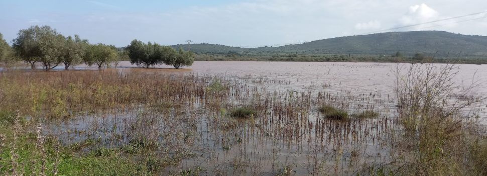 Vídeos i fotos de la Llacuna i l’Engolidor de La Jana
