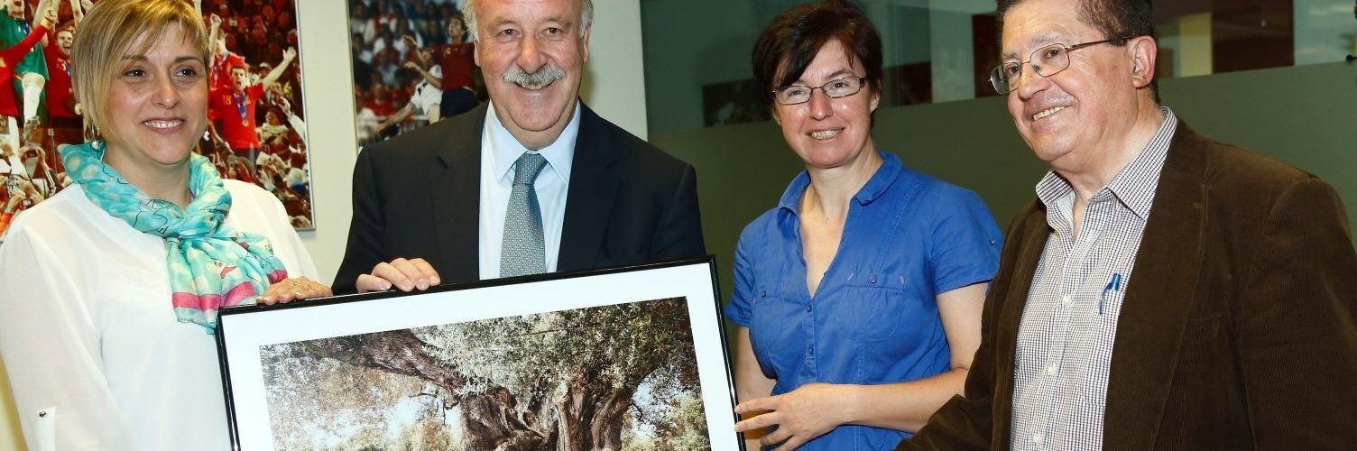 El 29 de novembre, 12è Congrés Oliveres Mil·lenàries Territori Sénia