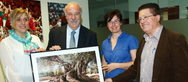 El 29 de novembre, 12è Congrés Oliveres Mil·lenàries Territori Sénia