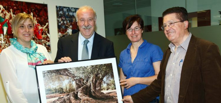 El 29 de novembre, 12è Congrés Oliveres Mil·lenàries Territori Sénia